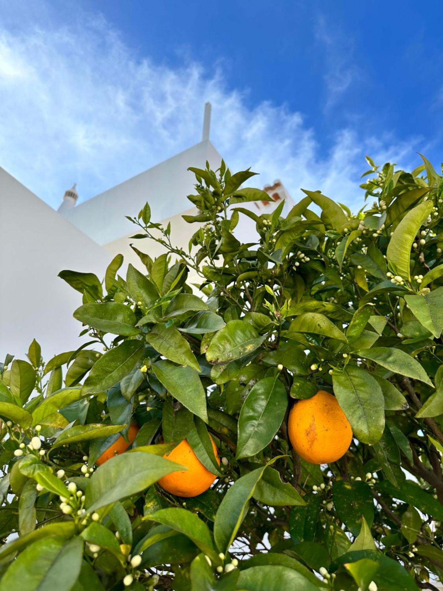 Casa Malia Luxury Guest House Luz 外观 照片